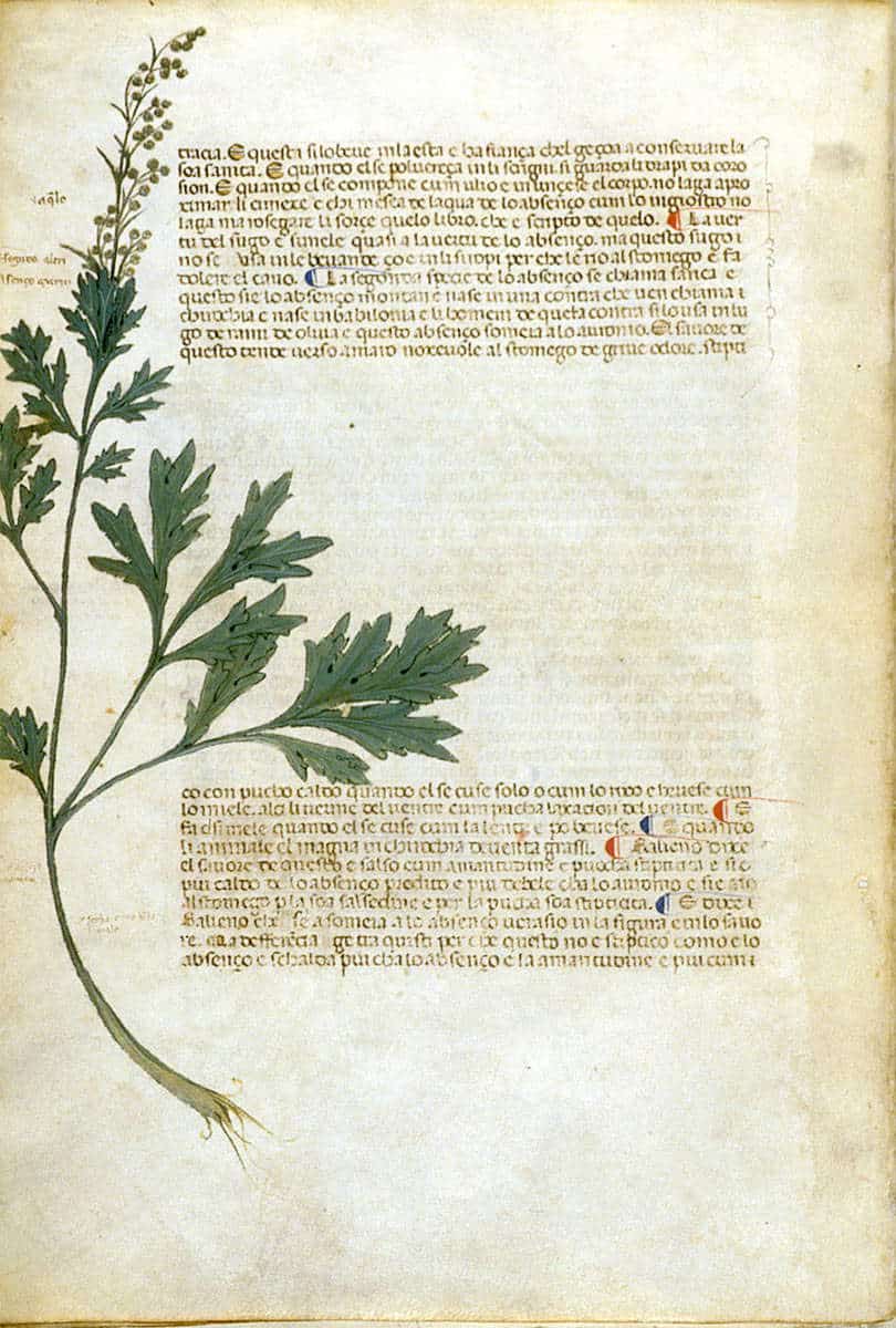 artemisia illuminated manuscript