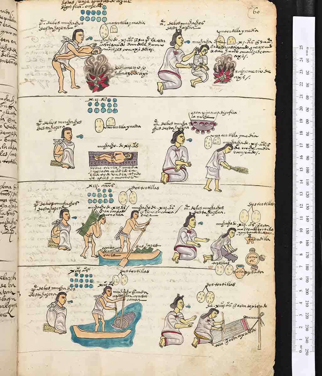 aztec codex mendoza bodleian education