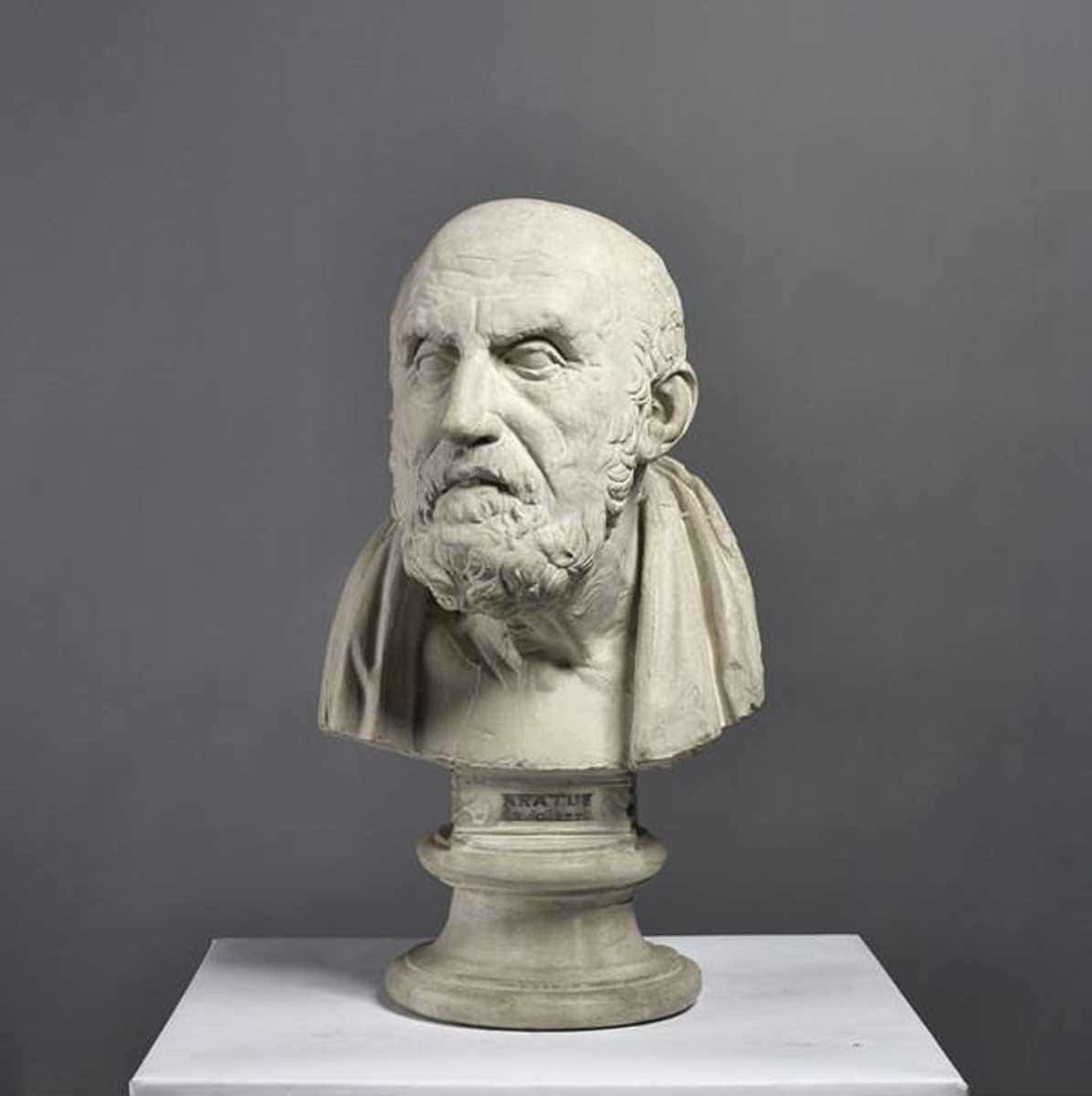 bust of chrysippus