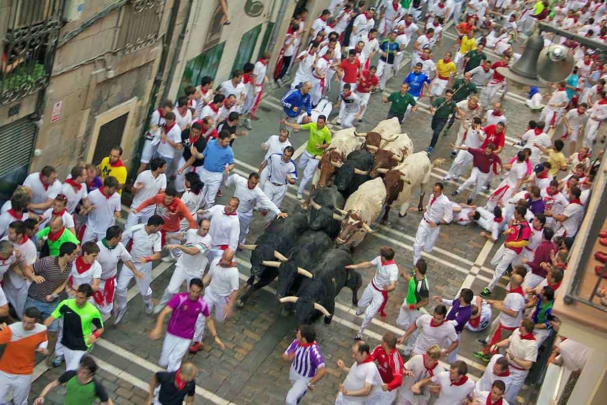 pamplona bull run photo