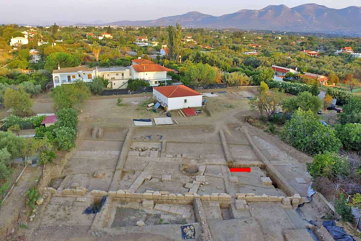 amarynthos euboia