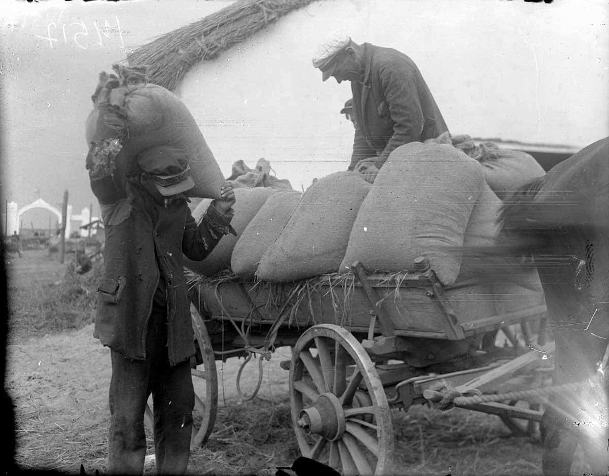 grain shippment during holodomor photo