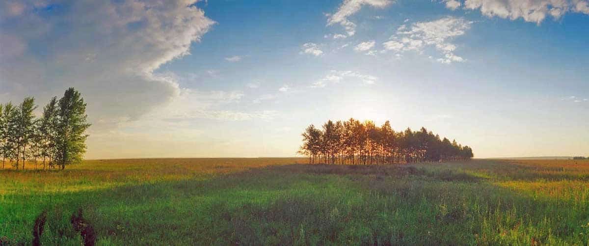 kulikovo field today