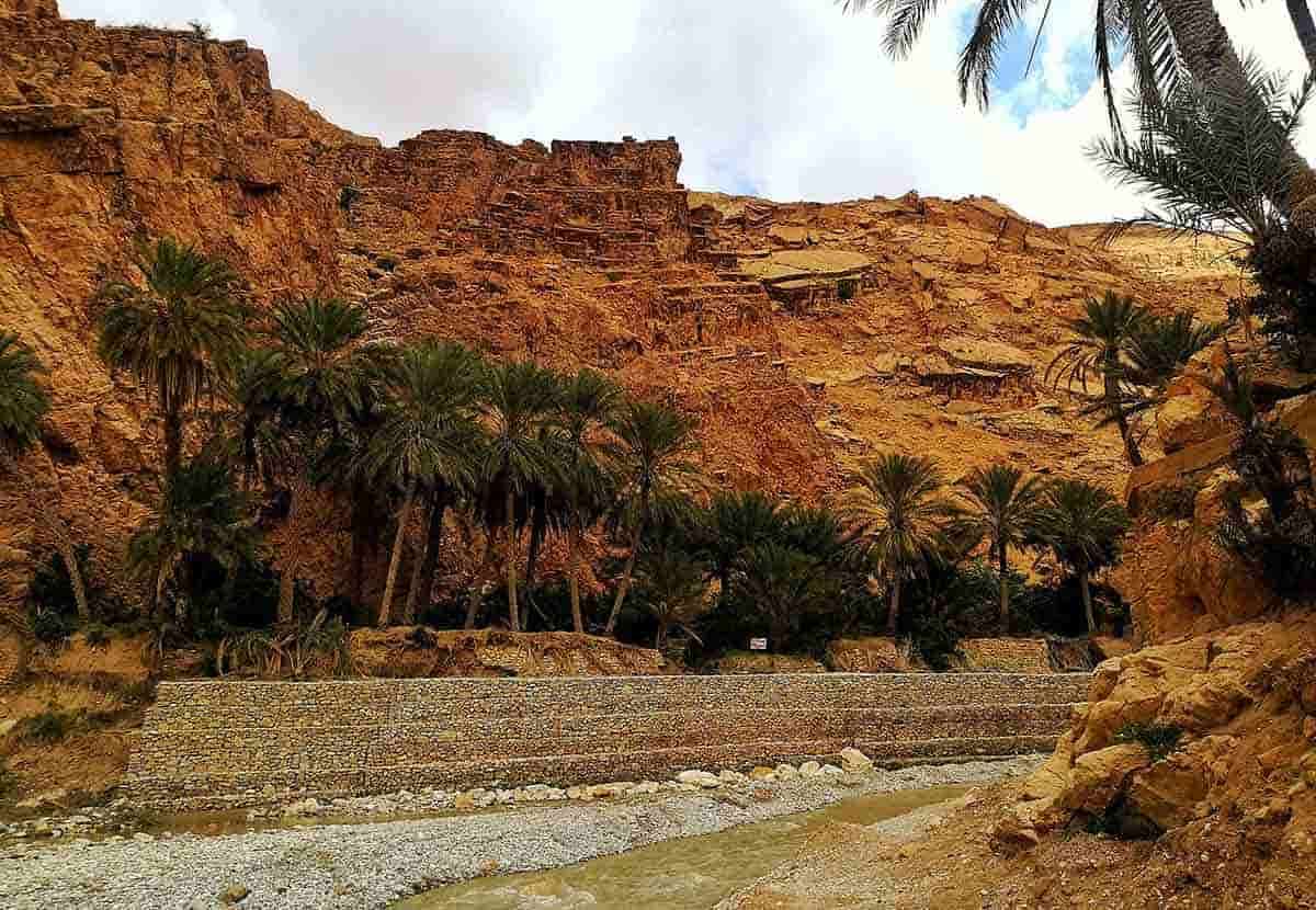 biskra oasis