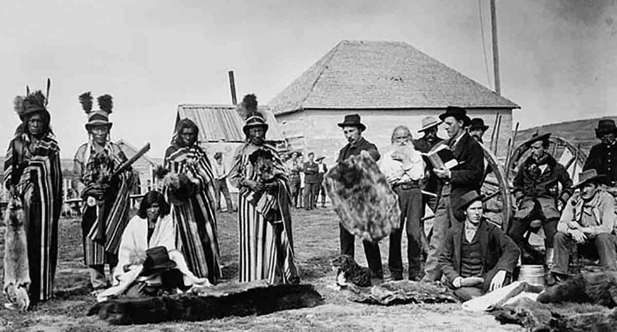 plains cree fur trading