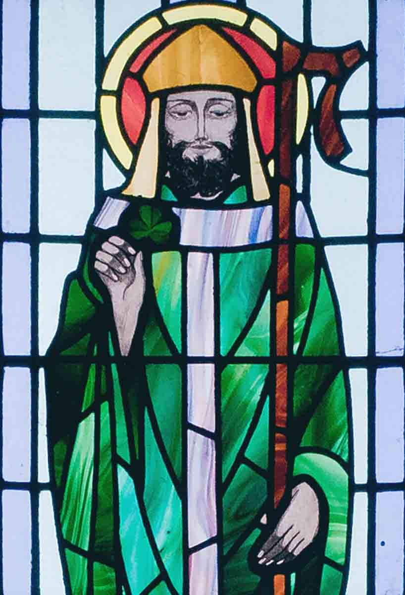 saint patrick with shamrock