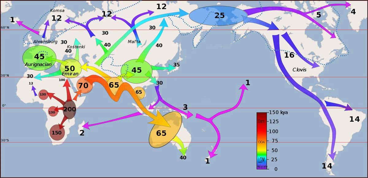 Africa Migration RG