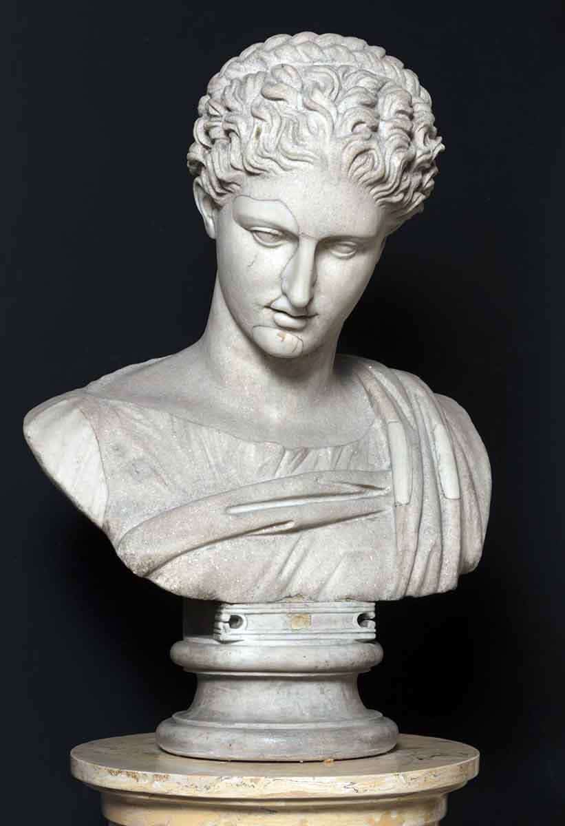 artemis bust roman copy