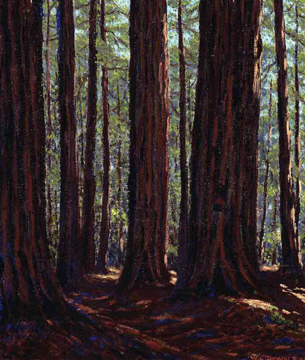 dewolf among redwoods paiting