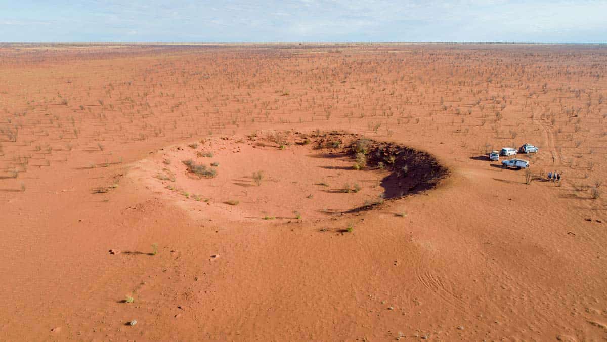 gibson desert northern territory