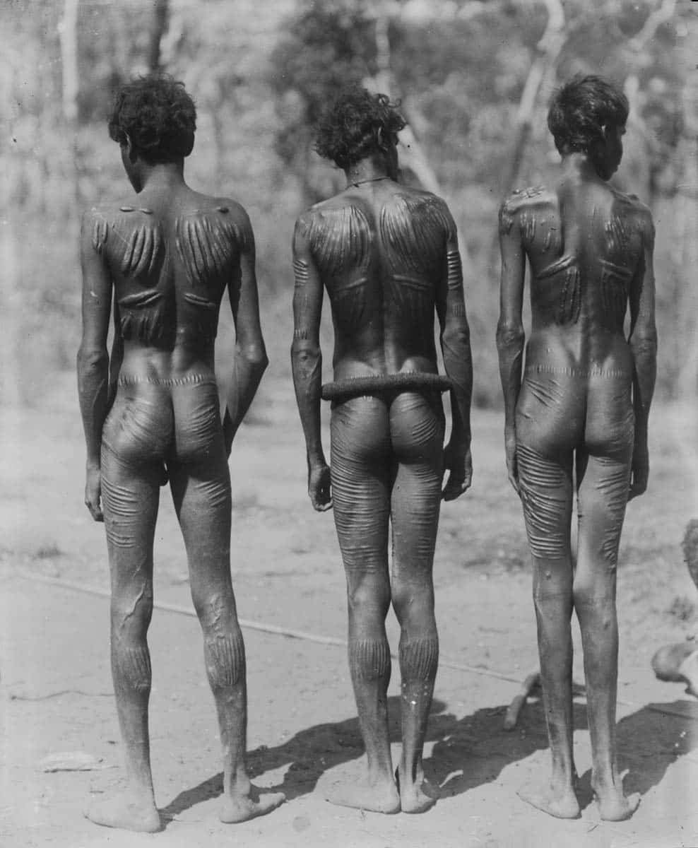 larrakia aboriginal men showing scars