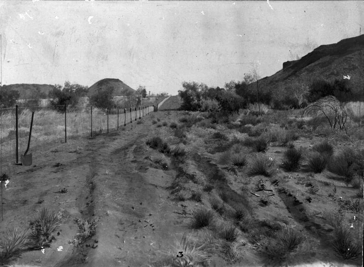 rabbit proof fence wa