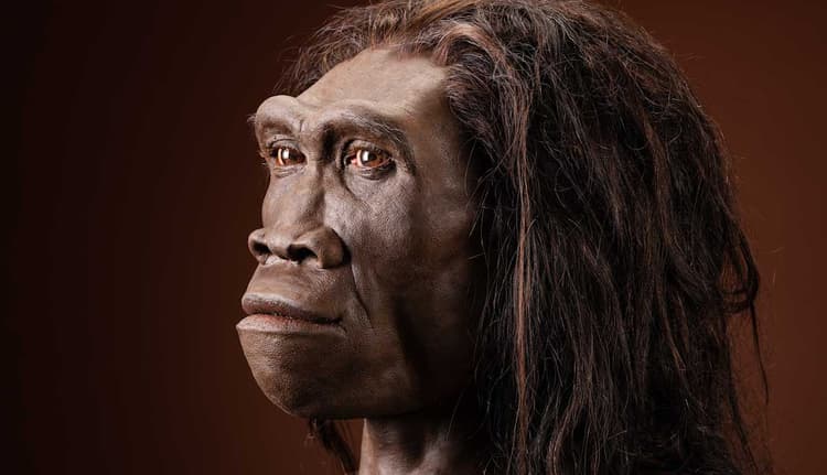 Homo Erectus: The Most Successful Human?