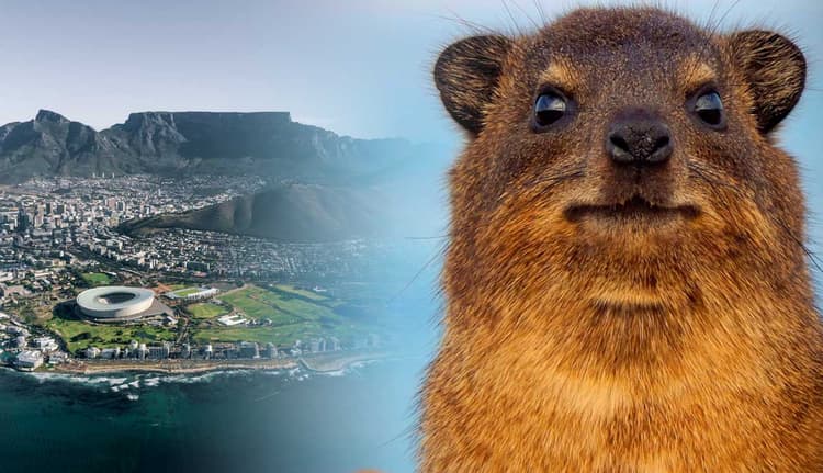 6 Crazy Facts about Cape Town