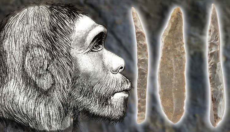 Neanderthal Nonsense: Debunking Myths About Our Ancient Cousins