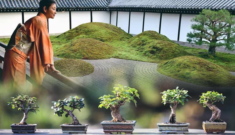 What Is the Philosophy Behind Zen Gardens?